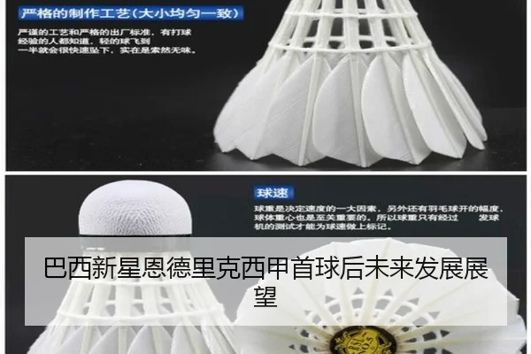 巴西新星恩德里克西甲首球后未来发展展望 - VSports