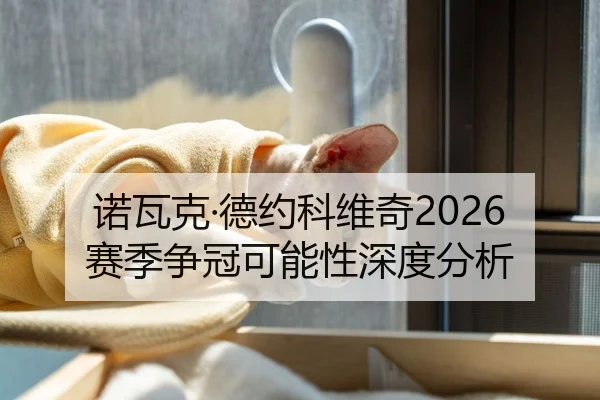 诺瓦克·德约科维奇2026赛季争冠可能性深度分析 | VSports